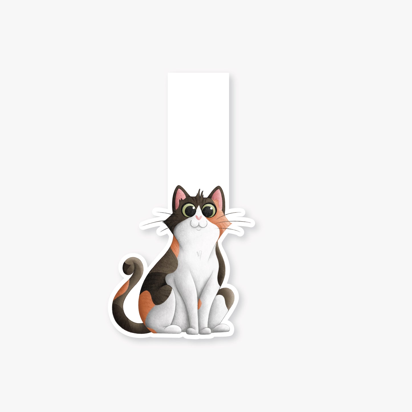Calico Cat