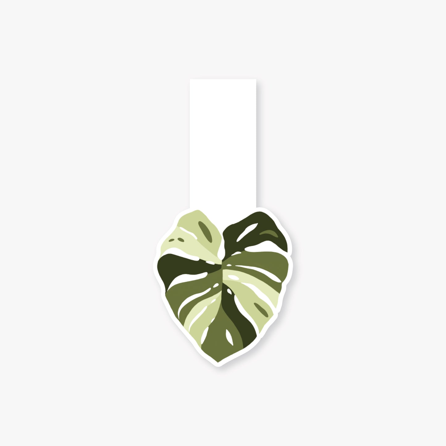 Monstera