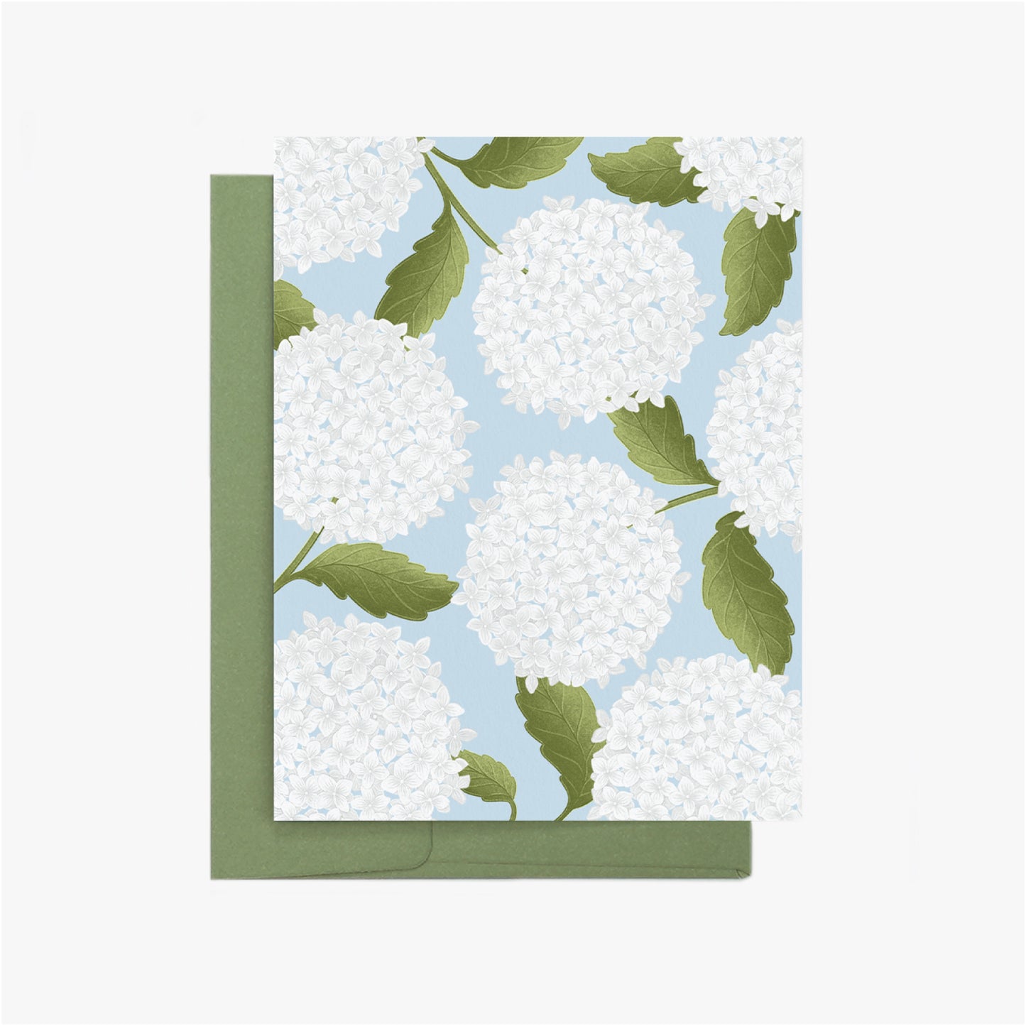 Hydrangea