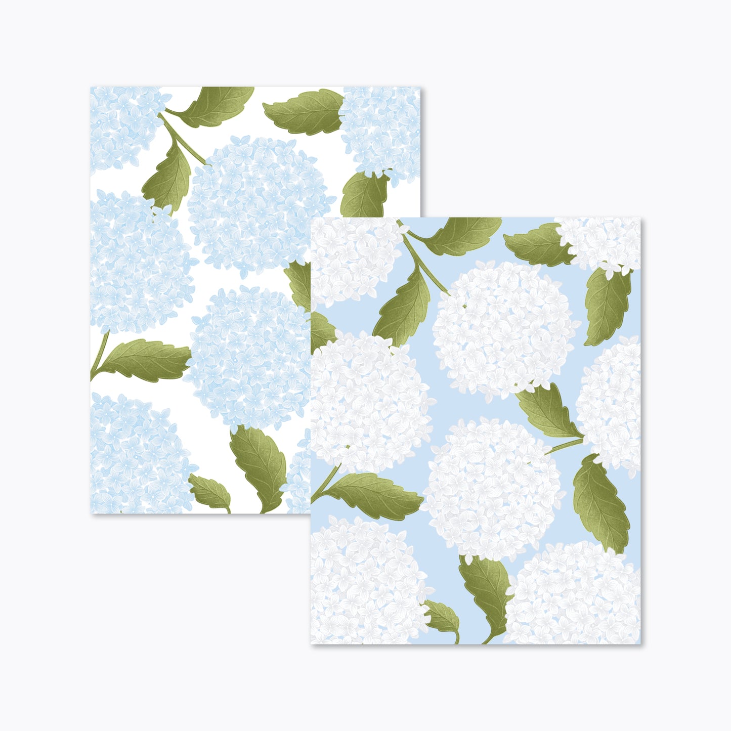 Hydrangea