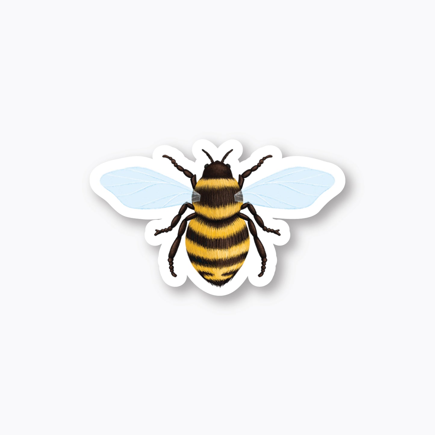 Bee